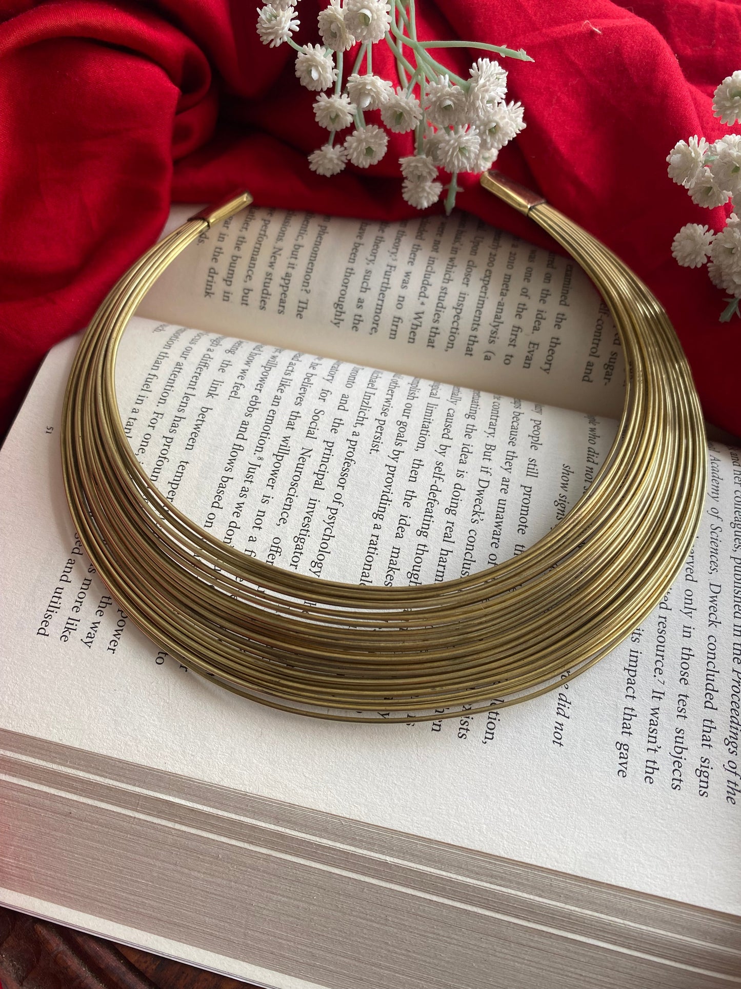 DHRUVI HASLI Gehnacollections