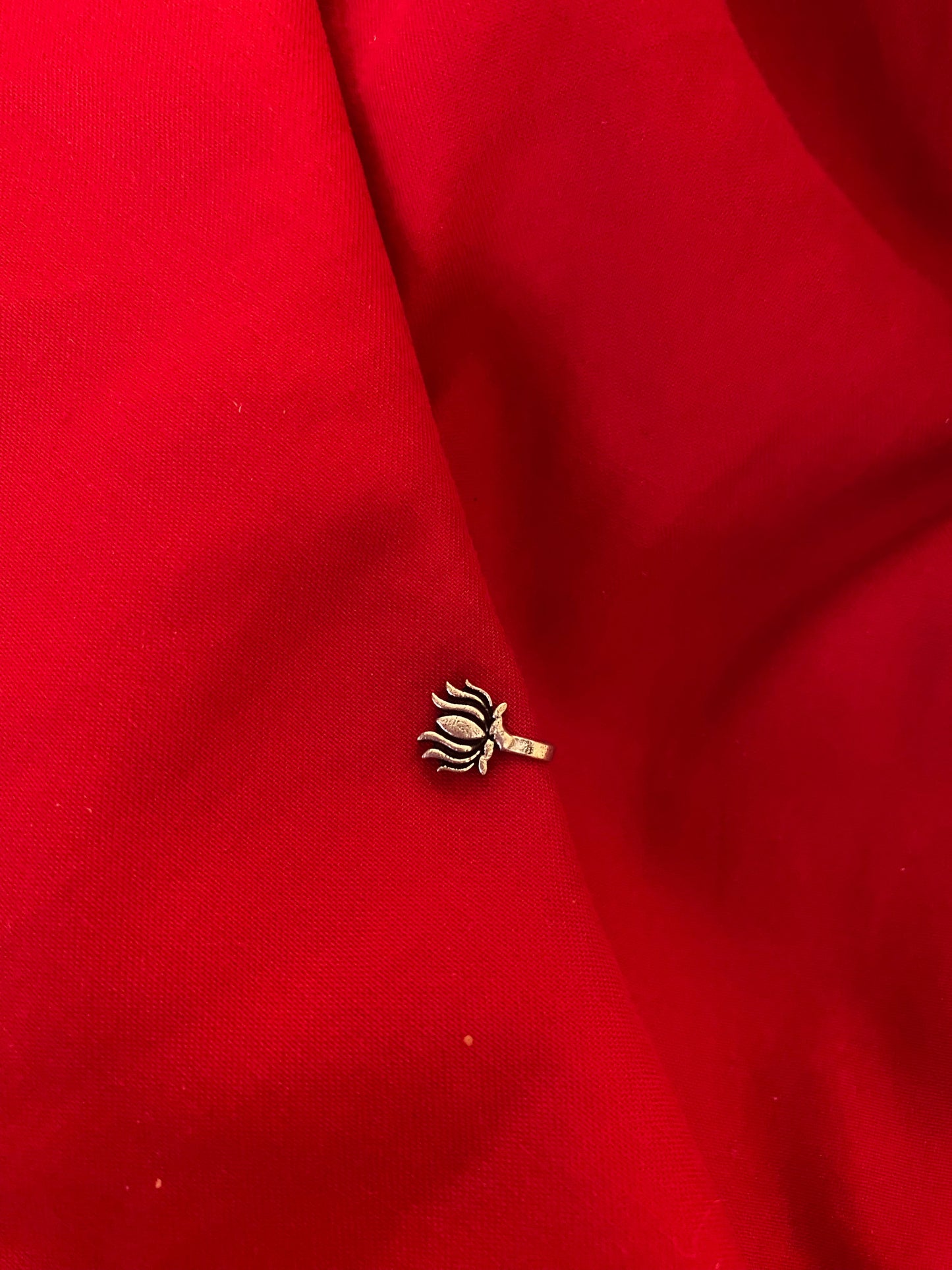 CLIP ON NOSEPIN Gehnacollections